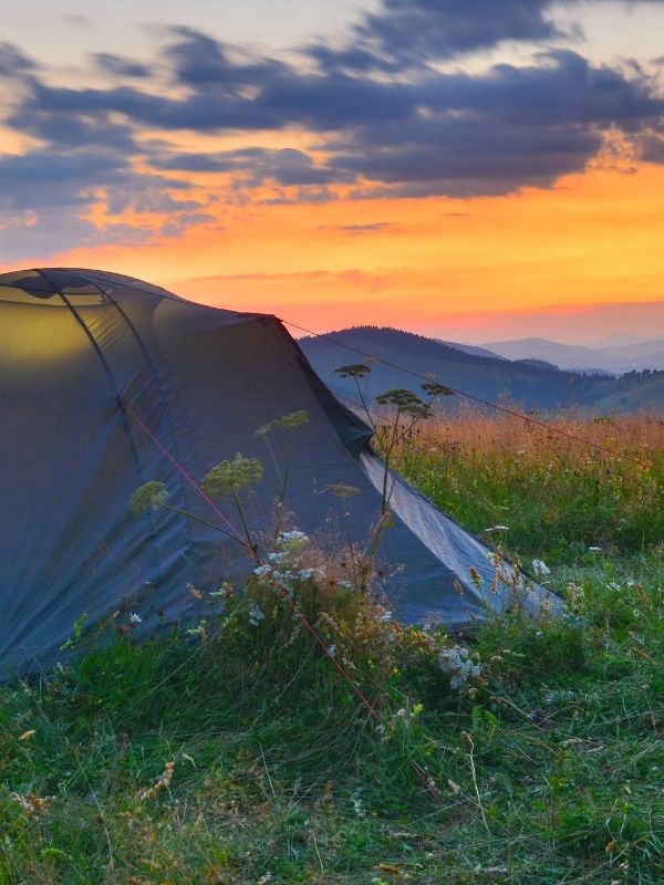 a tent in a campground for a free camping in australia