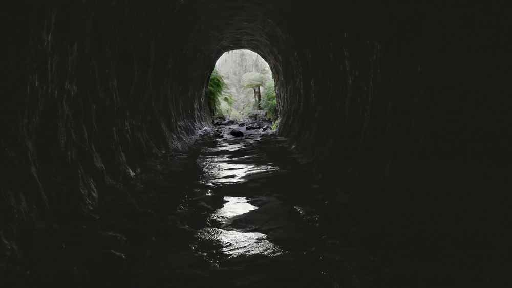 View from inside the Glow Worm Tunnel in the Blue Mountains, with faint light illuminating the tunnel's exit and surrounding greenery. This image relates to Blue Mountains deals by showcasing one of the unique and natural attractions included in adventure tours available in the region.