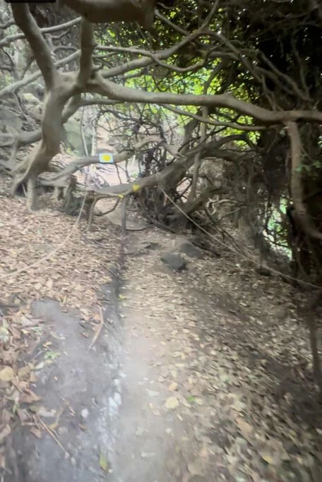 The rope and yellow markings along the path of the Sea Cliff Bridge Lookout