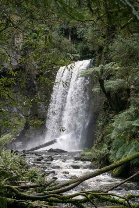 A stunning waterfall cascades down a rocky cliff, surrounded by lush green ferns and moss-covered trees in Great Otway National Park, Victoria, Australia. This serene rainforest setting is part of Victoria’s most awe-inspiring natural landscapes, perfect for hiking and nature photography.