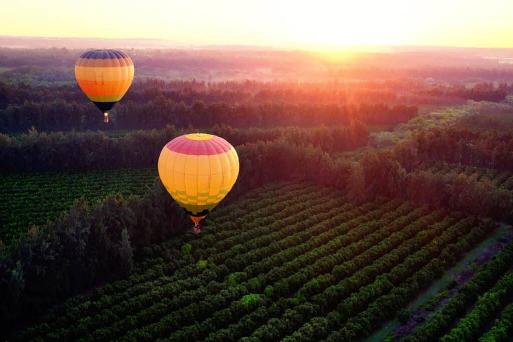Two colourful hot air balloons floating over lush vineyards at sunrise in Barossa Valley, highlighting the serene and unique experiences, one of the top things to do in the Barossa.