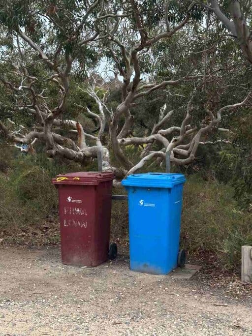 Rubbish and recycling bins under twisted gum trees at Waitpinga Campground, showing the basic waste disposal setup available for campers in this bushland site on the Fleurieu Peninsula.