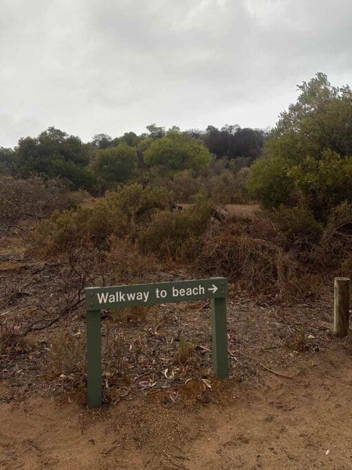 Directional sign reading “Walkway to beach” surrounded by native bushland near Waitpinga Campground—captured on a coastal trail and perfect for showing the beach access mentioned in guides about all you need to know about Waitpinga Campground.