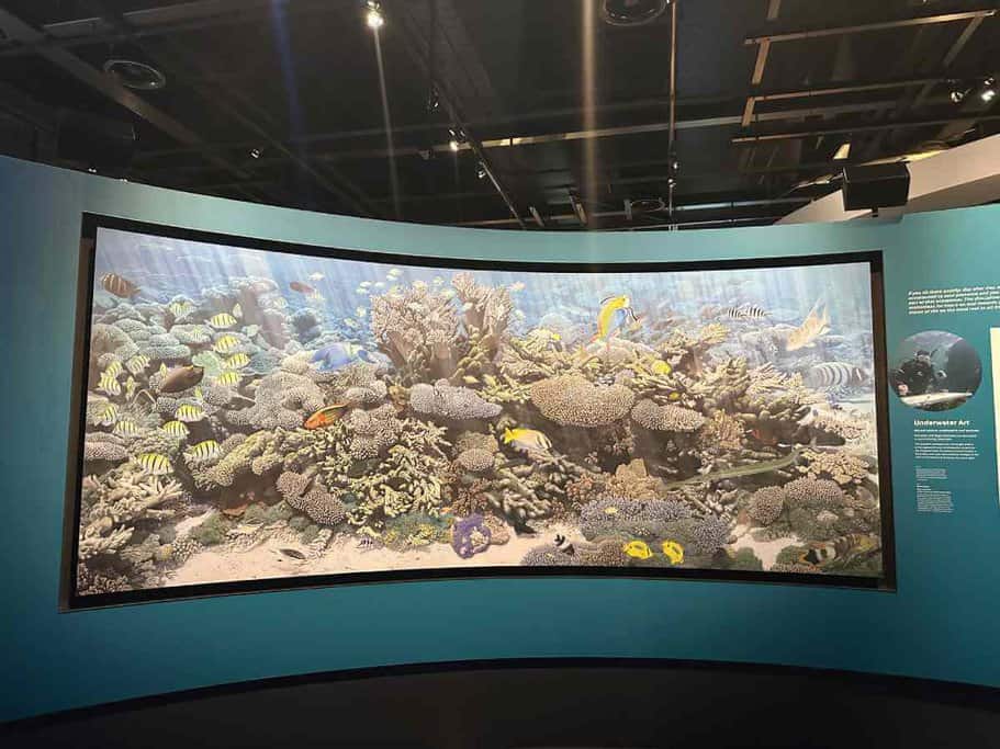 Underwater exhibit at WA Museum Boola Bardip showcasing a vibrant coral reef scene with various fish species. This display is part of the museum’s extensive collection highlighting marine biodiversity, as discussed in the WA Museum Boola Bardip review.