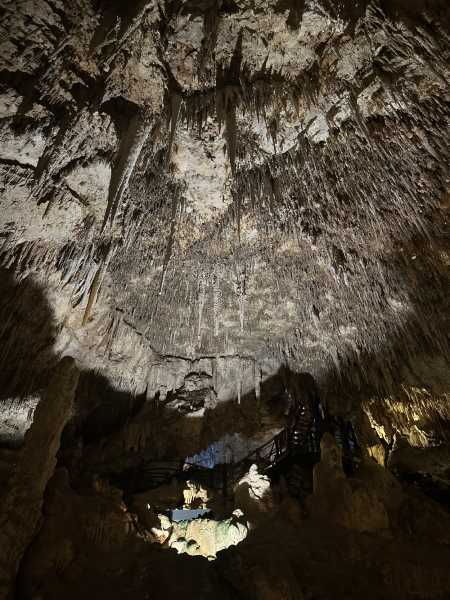 Eerie and gentle artificial lighting highlighting the dramatic contours and textures of The Amphitheatre of Ngilgi Cave, enhancing the cave's majestic ambiance.