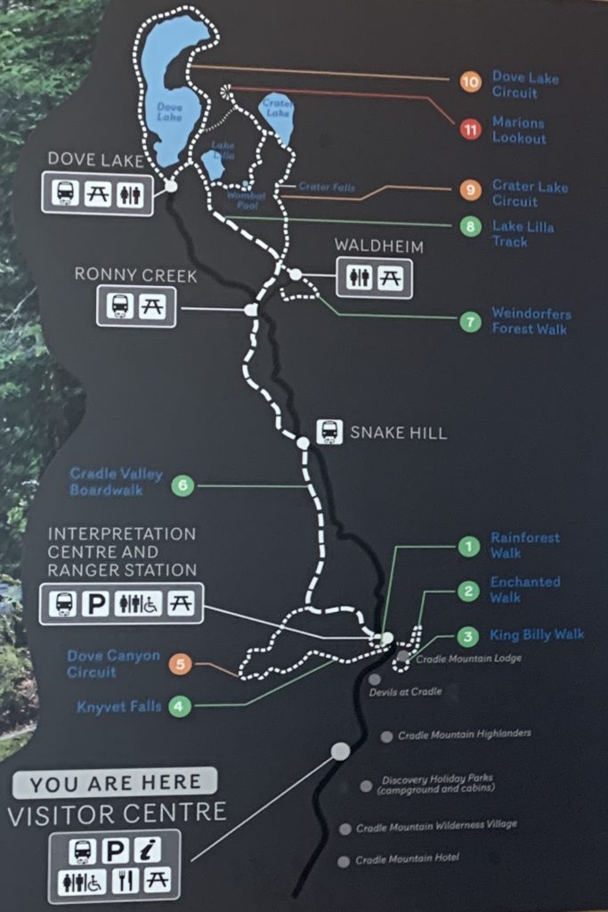 Cradle Mountain Walks - Path
