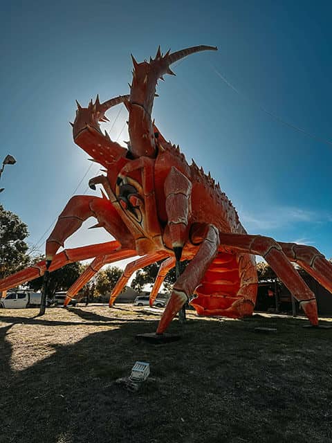 The Big Lobster in Kingston SE as one of the day trips from Robe