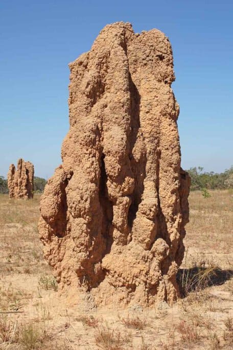 Large termite mounds standing tall in the arid landscape of Kakadu National Park, under the clear blue sky. This image showcases the unique natural features found during summer in Australia, particularly in the Northern Territory's diverse ecosystems.