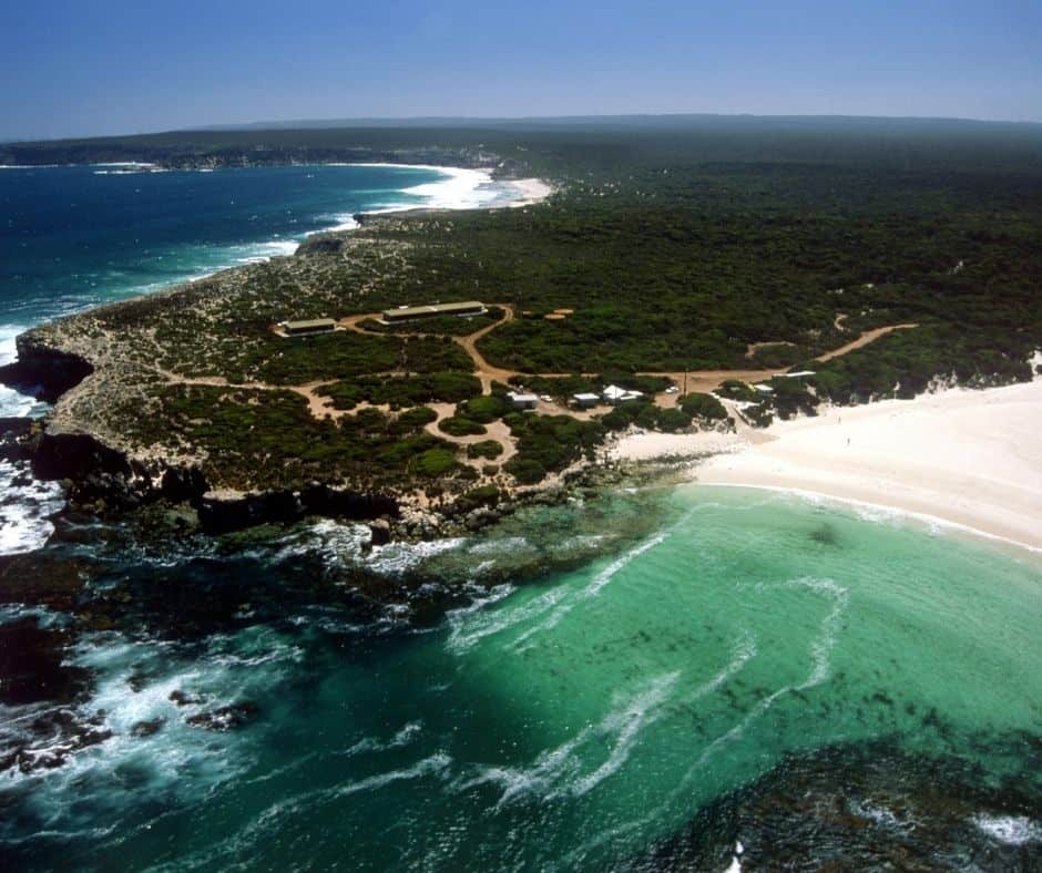 kangaroo island in South Australia