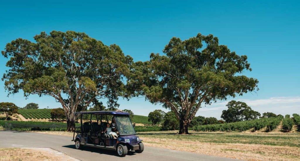 A group enjoying a guided tour in an open golf cart, travelling along a road lined with lush vineyards under expansive blue skies in the Barossa Valley, showcasing the scenic and engaging nature of Barossa Valley vineyard tours.