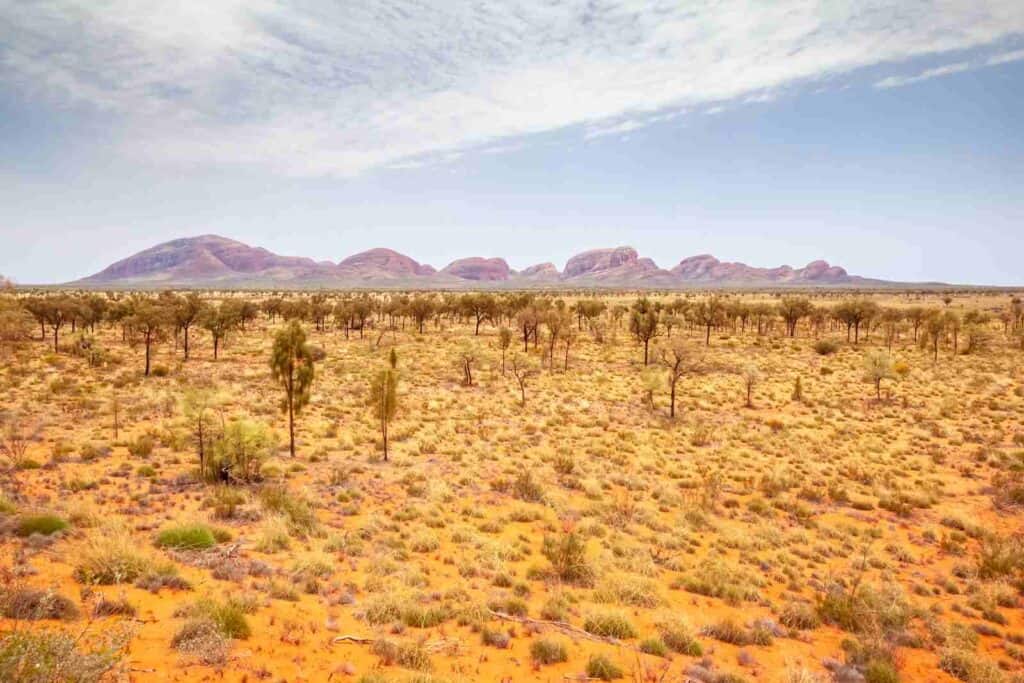 A vast, arid landscape in the Australian outback with distant mountain ranges under a clear sky, reflecting the rugged beauty and remote areas of this safe country. This image relates to the idea that, despite its vast and sometimes harsh environments, Australia is considered a safe country with the right preparation and awareness.