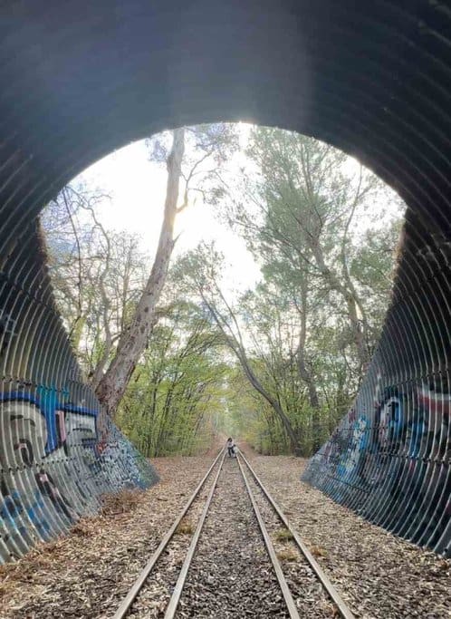 View through a graffiti-covered railway tunnel leading to tree-lined tracks surrounded by early autumn foliage near Littlehampton, capturing the peaceful and hidden beauty of autumn in Adelaide.