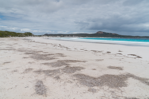 The Lucky Bay (Kalbari) in WA