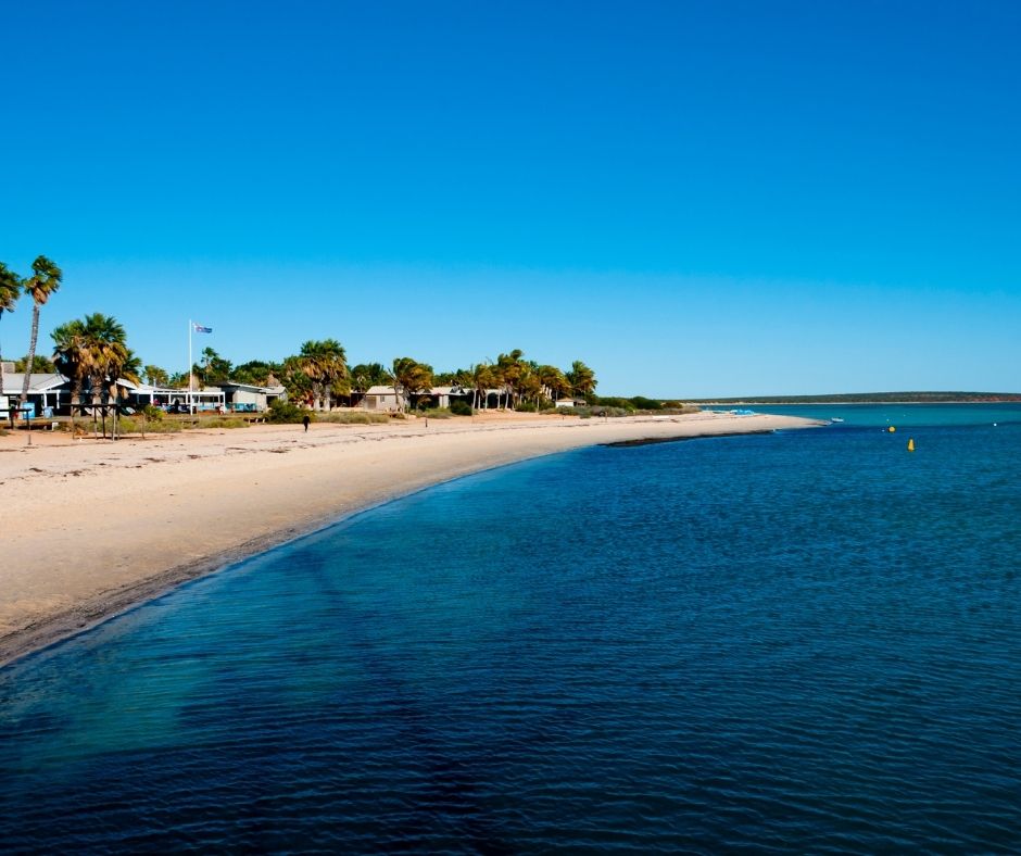 monkey mia-best places in australia