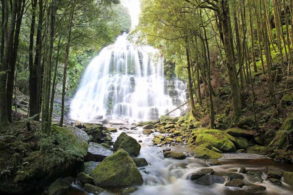 Nelson Falls in Tasmania, surrounded by lush green forests and moss-covered rocks, representing the pristine natural beauty of waterfalls in Australia, and enhancing the blog post about exploring Australia's most picturesque waterfalls.