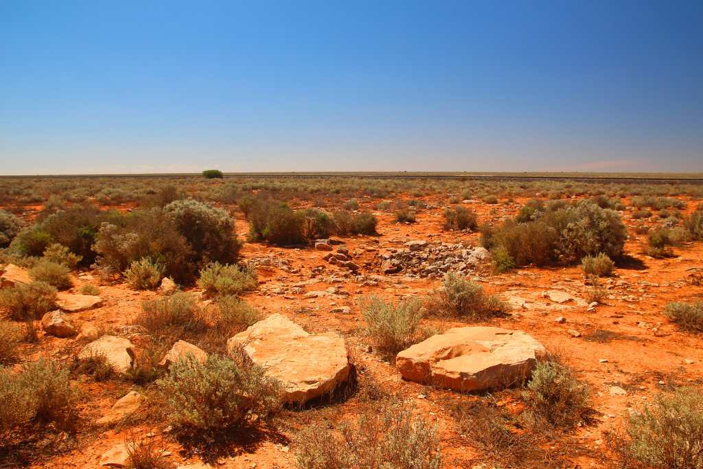 the wilderness of nullarbor plains