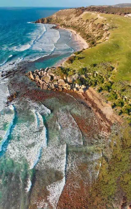 A panoramic aerial view of Kangaroo Island’s coastline, showcasing its rugged cliffs, clear turquoise waters, and lush green landscape. This image highlights the island’s natural beauty and supports the comparison of Kangaroo Island and Phillip Island as wildlife and nature destinations.