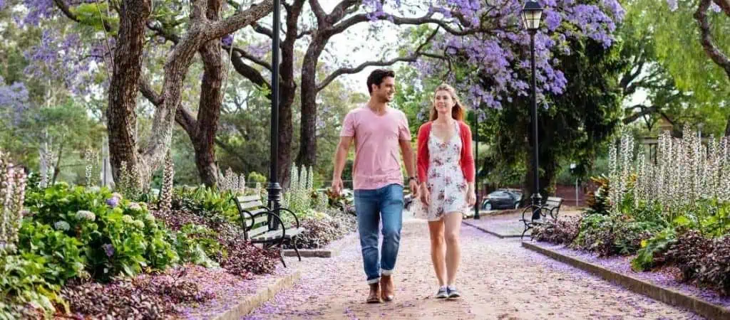 Parramatta Jacaranda Trees Sydney, Australia