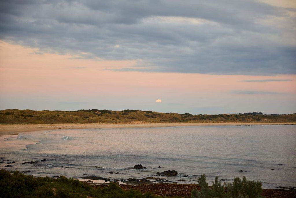 A peaceful coastal scene at Phillip Island, Victoria, Australia, with gentle waves lapping against the sandy shore and a pastel-hued sunset sky in the background. This scenic destination is one of Victoria’s most iconic nature spots, known for its wildlife, stunning beaches, and breathtaking coastal views.