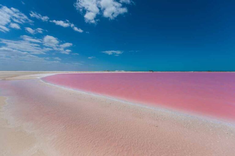 The beautiful hue of colours of pink lake