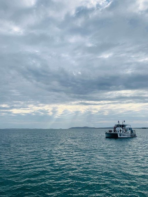 A dolphin-watching tour boat floating on the calm waters of Port Stephens under a cloudy sky, showcasing a popular activity during the best times for dolphin watching in this region.