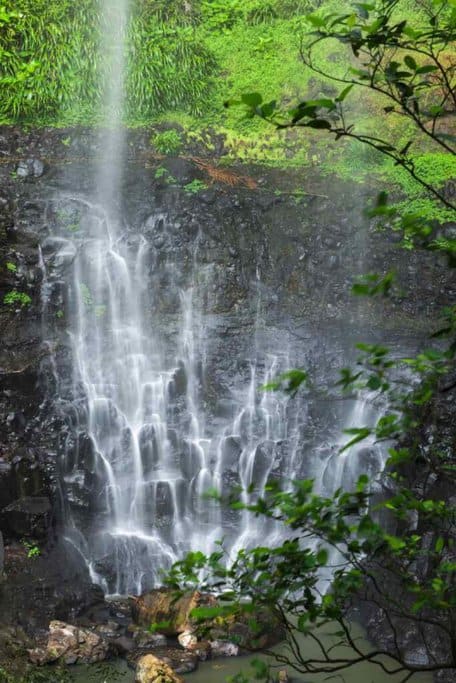 Purlingbrook Falls in Springbrook National Park, Queensland, showcasing the lush greenery and cascading waters typical of Australia waterfalls, adding to the natural allure of the region.