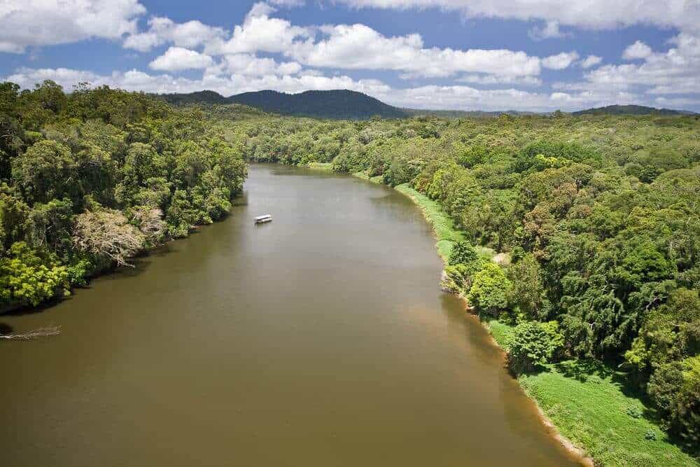 "What is the longest river in Queensland?", this photo is an aerial view of the one of the rivers winding through a lush green landscape with dense forests on either side and a single boat floating on the tranquil waters, showcasing the river's serene beauty and its significance to the region's natural splendour.