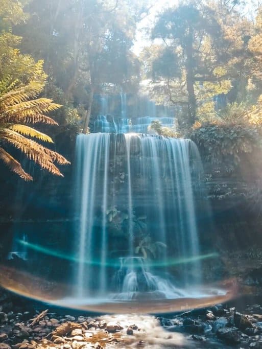Russell Falls in Tasmania, one of the iconic waterfalls in Australia, cascading gently through lush green foliage, representing the serene beauty of Australia's natural landscapes. 