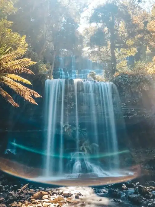 Russell Falls in Tasmania, one of the iconic waterfalls in Australia, cascading gently through lush green foliage, representing the serene beauty of Australia's natural landscapes. This image enhances the post about exploring the most beautiful waterfalls in Australia.