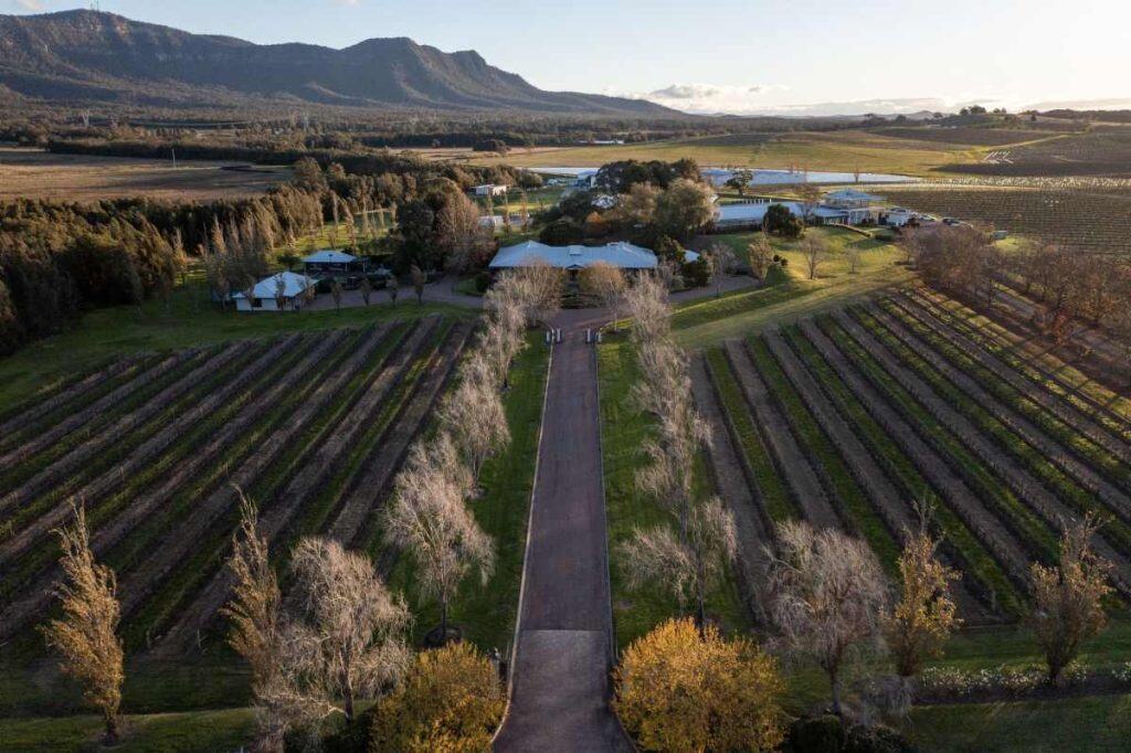 Aerial view of a vineyard estate in Hunter Valley with rows of grapevines, a tree-lined driveway, and mountains in the distance. This image captures the rural charm and natural beauty often considered when weighing the advantages and disadvantages of living in Hunter Valley.