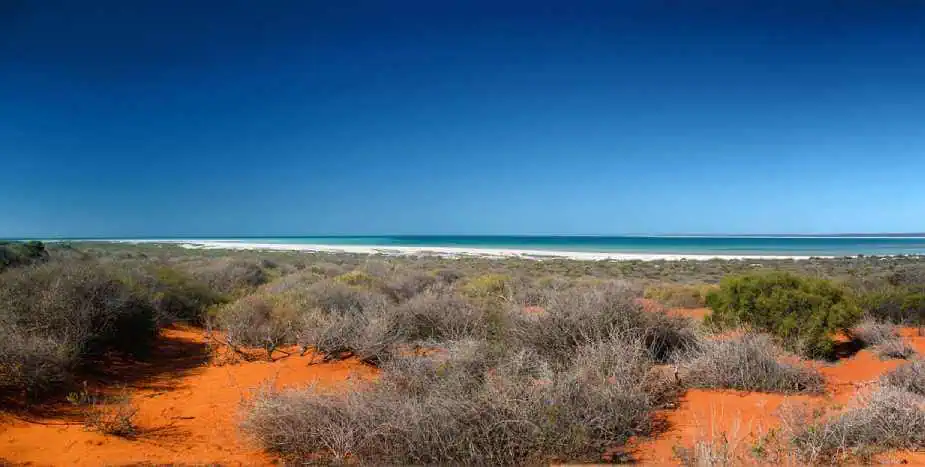 Contrasting landscape at Shark Bay with red sandy earth and scrubby bushland leading to the serene blue waters, exemplifying the unique, rugged beauty of Western Australia's beaches.