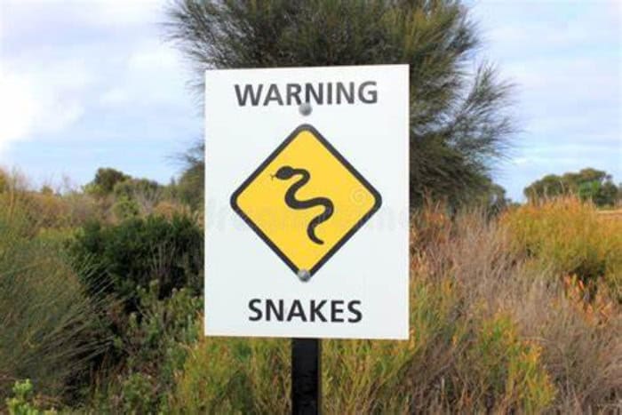 A warning sign that reads 'Warning Snake,' alerting people to the presence of snakes in the area. This sign emphasizes the importance of staying vigilant and exercising caution when in regions where snakes may be present, especially in Australia.