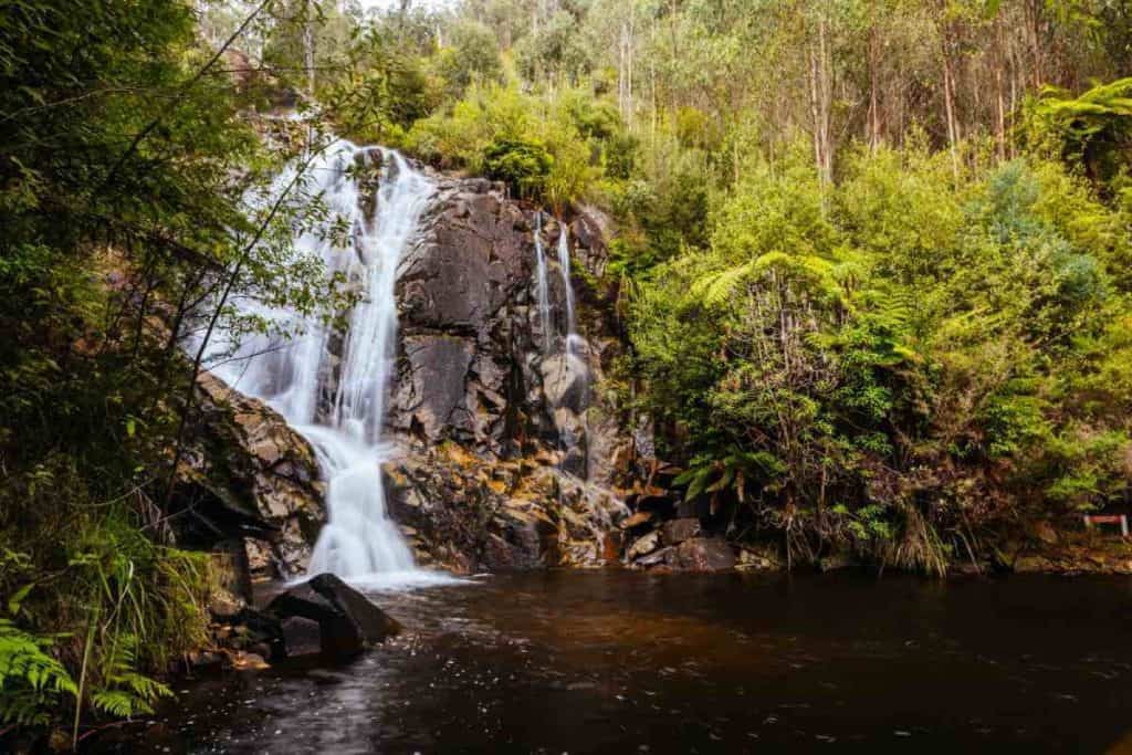 Steavenson Falls in Marysville, surrounded by lush greenery, a serene and picturesque spot along hiking trails in Victoria, Australia.