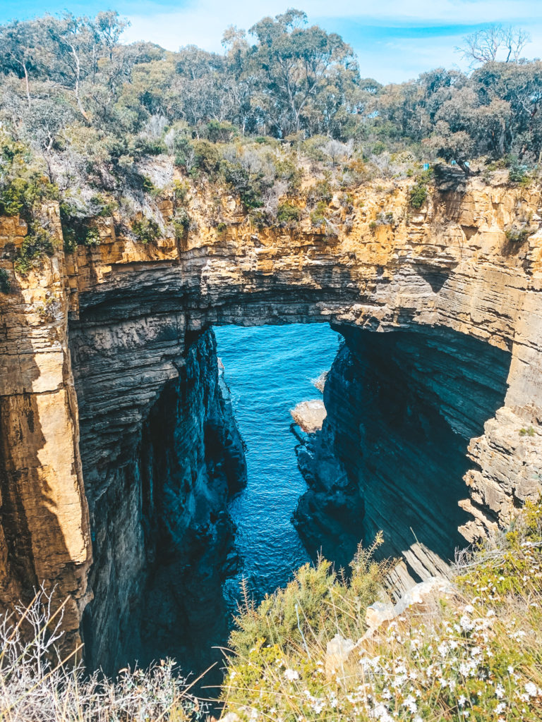 Tasman Arch in The Best 9 Day Tasmania Itinerary
