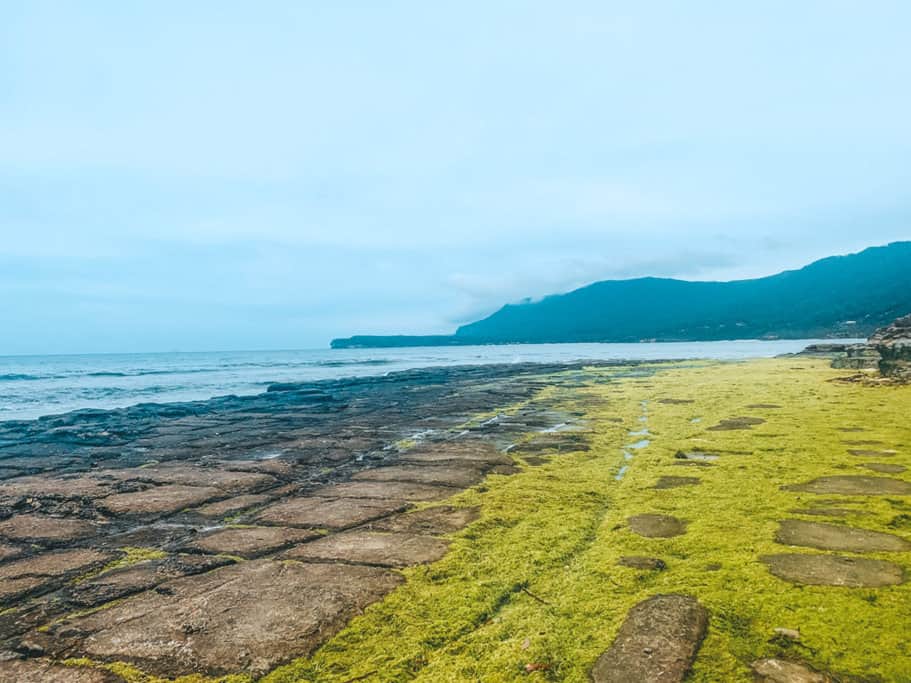 Tesselated Pavement in The Best 9 Day Tasmania Itinerary