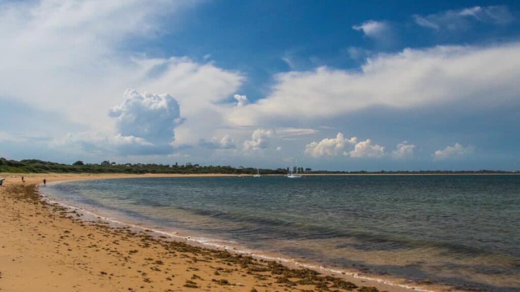 A serene beach scene on Phillip Island, showcasing golden sand, calm waters, and a backdrop of lush greenery under a bright sky. This image highlights the coastal beauty that makes Phillip Island a popular spot for nature and wildlife enthusiasts.
