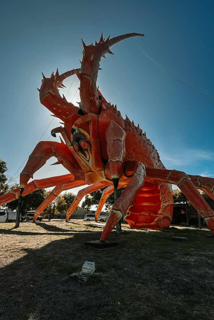the-big-lobster called Larry
