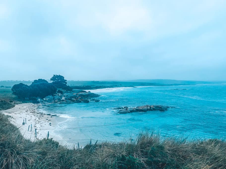 The Gardens at Bicheno in The Best 9 Day Tasmania Itinerary