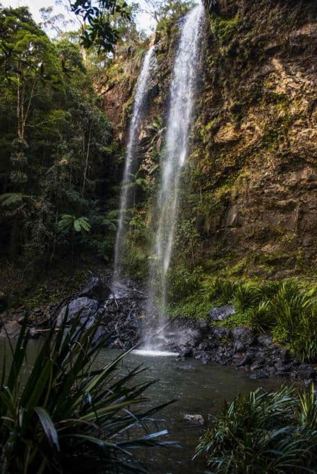 Twin Falls in Springbrook National Park, where two streams of water cascade down a rocky cliff, creating a stunning natural display. This waterfall is one of the top waterfalls in Queensland and is a popular spot for nature lovers and adventure seekers exploring the region's lush rainforest.