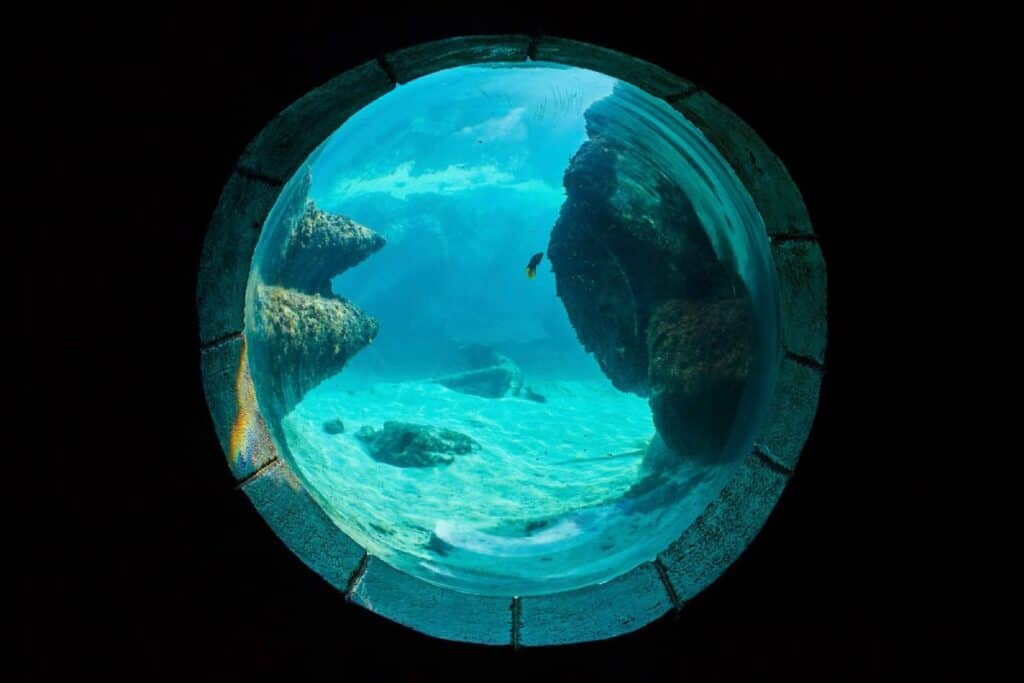 View from inside an underwater observatory, showing a vibrant marine ecosystem through a circular window. The crystal-clear water reveals rock formations and marine life, highlighting the unique perspective offered by such observatories.