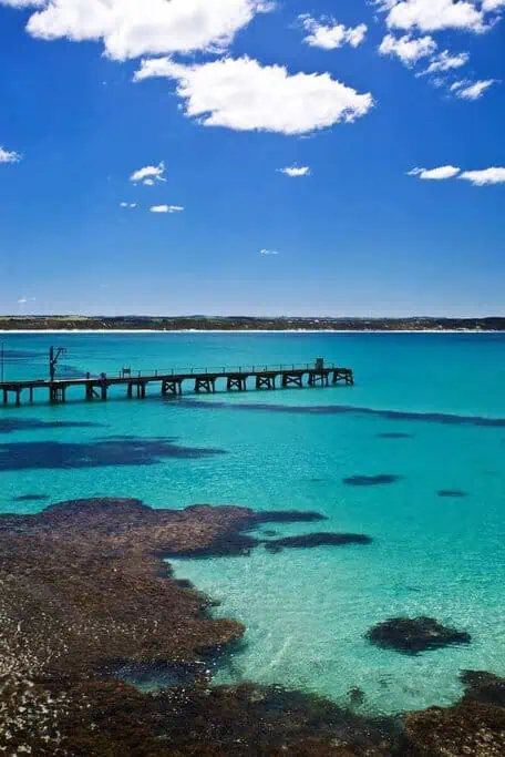 Vivonne Bay's jetty extends over the stunning turquoise waters, with rocky patches visible beneath the surface, highlighting the clear waters and aquatic beauty of beaches in Australia.