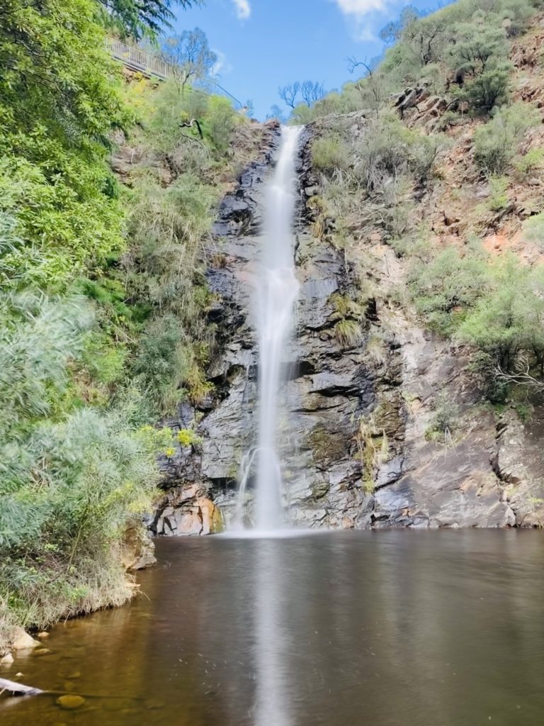 the waterfall gully falls as one of the hikes in my complete guide to hiking in Australia