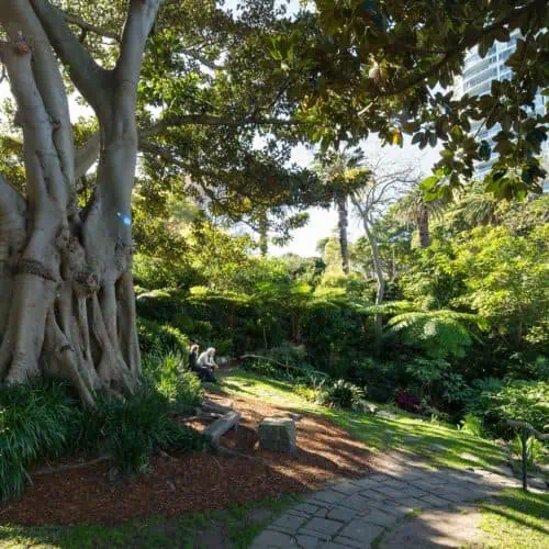 Wendy's Secret Garden one of the Instagrammable place in Sydney