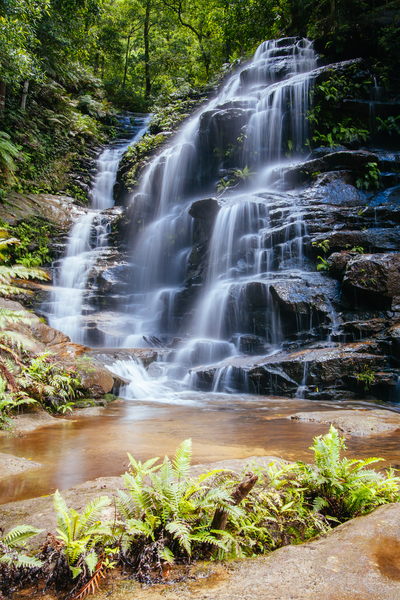 Wentworth Falls in the Blue Mountains
