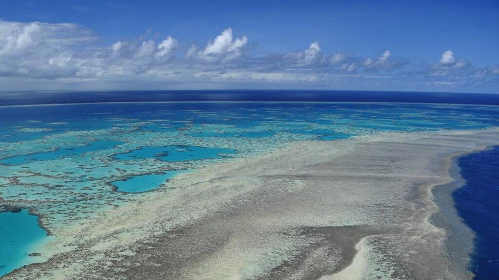 Aerial view of the vibrant and intricate patterns of the Great Barrier Reef seen during a scenic flight, showcasing the vast blue and turquoise waters interspersed with coral formations.