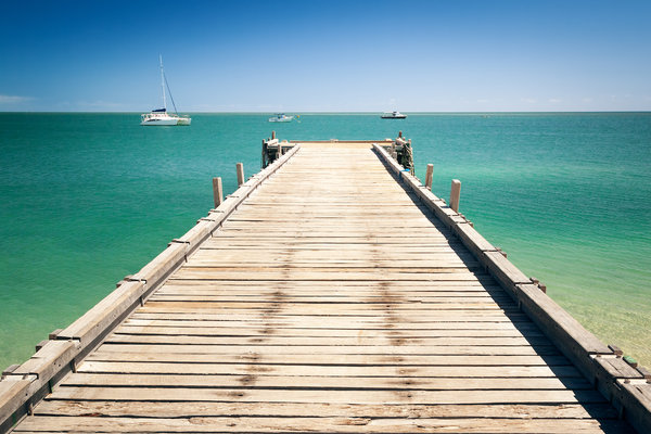 An image of the wooden jetty at Monkey Mia Australia